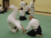 Kai Shin Kai Aikido Course - November 3rd 2012 #1