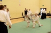 KSK Aikido Course at Aylesbury - January 2013