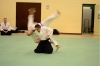 KSK Aikido Course at Aylesbury - January 2013