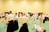 KSK Aikido Course at Aylesbury - January 2013