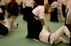 KSK Aikido Course at Aylesbury - January 2013