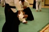 KSK Aikido Course at Aylesbury - January 2013