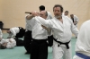 KSK Aikido Course at Aylesbury - March 3rd 2013