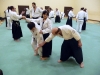 KSK Aikido Course at Aylesbury - March 3rd 2013