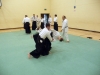 KSK Aikido Course at Aylesbury - March 3rd 2013