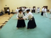 KSK Aikido Course at Aylesbury - March 3rd 2013