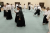 KSK Aikido Course at Aylesbury - March 3rd 2013