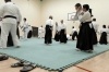 KSK Aikido Course at Aylesbury - March 3rd 2013