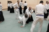 KSK Aikido Course at Aylesbury - March 3rd 2013