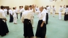 KSK Aikido Course at Aylesbury - January 12th 2014