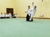 KSK Aikido Course at Aylesbury - January 12th 2014