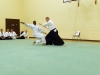 KSK Aikido Course at Aylesbury - January 12th 2014