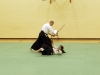 KSK Aikido Course at Aylesbury - January 12th 2014