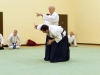 KSK Aikido Course at Aylesbury - January 12th 2014