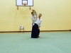 KSK Aikido Course at Aylesbury - January 12th 2014