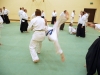 KSK Aikido Course at Aylesbury - January 12th 2014