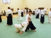 KSK Aikido Course at Aylesbury - January 12th 2014