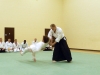 KSK Aikido Course at Aylesbury - January 12th 2014
