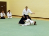 KSK Aikido Course at Aylesbury - January 12th 2014