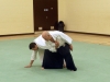 KSK Aikido Course at Aylesbury - March 15th 2015 #2