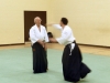 KSK Aikido Course at Aylesbury - March 15th 2015 #2