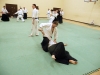 KSK Aikido Course at Aylesbury - March 15th 2015 #2