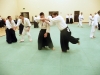 KSK Aikido Course at Aylesbury - March 15th 2015 #2