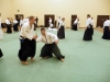 KSK Aikido Course at Aylesbury - March 15th 2015 #2