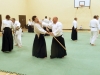 KSK Aikido Course at Aylesbury - March 15th 2015 #1