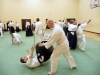 KSK Aikido Course at Aylesbury - March 15th 2015 #1
