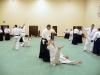 KSK Aikido Course at Aylesbury - March 15th 2015 #1