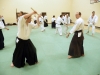 KSK Aikido Course at Aylesbury - March 15th 2015 #1