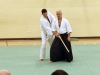 KSK Aikido Course at Aylesbury - March 15th 2015 #1