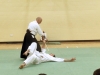 KSK Aikido Course at Aylesbury - March 15th 2015 #1