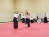 KSK Aikido Course at Aylesbury - November 16th 2019 #1