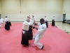 KSK Aikido Course at Aylesbury - November 16th 2019 #1