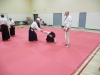 KSK Aikido Course at Aylesbury - November 16th 2019 #1