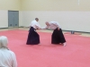 KSK Aikido Course at Aylesbury - November 16th 2019 #1