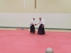 KSK Aikido Course at Aylesbury - November 16th 2019 #1