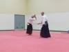 KSK Aikido Course at Aylesbury - November 16th 2019 #1