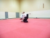 KSK Aikido Course at Aylesbury - November 16th 2019 #2