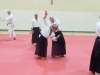 KSK Aikido Course at Aylesbury - November 16th 2019 #2