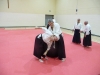 KSK Aikido Course at Aylesbury - November 16th 2019 #2