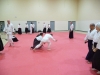 KSK Aikido Course at Aylesbury - November 16th 2019 #2