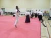 KSK Aikido Course at Aylesbury - November 16th 2019 #2