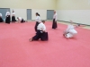KSK Aikido Course at Aylesbury - November 16th 2019 #2