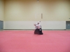 KSK Aikido Course at Aylesbury - November 16th 2019 #2