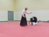 KSK Aikido Course at Aylesbury - November 16th 2019 #2