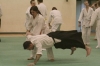 KSK Aikido Course at Aylesbury January 2009