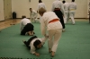 KSK Aikido Course at Aylesbury January 2009